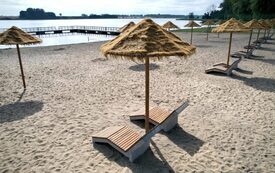 IMG_4172-980x551.jpeg