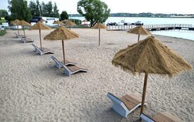 IMG_4171-980x551.jpeg