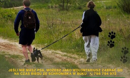 Zdjęcie do Zapraszamy❗️wszystkich miłośnik&oacute;w aktywności i czworonog&oacute;w na Dogtrekking w Cieślach, kt&oacute;ry odbędzie się 30 maja